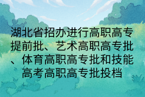 湖北省招办进行高职高专提前批、艺术高职高专批、体育高职高专批和技能高考高职高专批投档