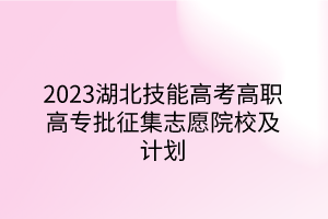 2023湖北技能高考高职高专批征集志愿院校及计划