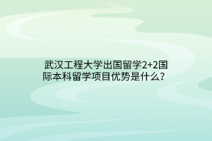 武汉工程大学出国留学2+2国际本科留学项目优势是什么？