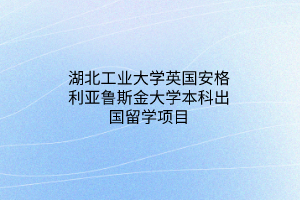 湖北工业大学英国安格利亚鲁斯金大学本科出国留学项目