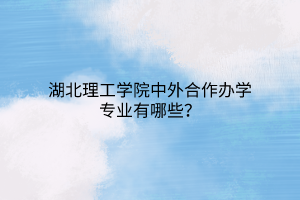 湖北理工学院中外合作办学专业有哪些？