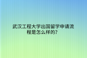 武汉工程大学出国留学申请流程是怎么样的？