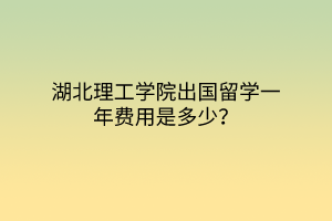 湖北理工学院出国留学一年费用是多少？