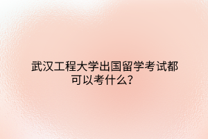 武汉工程大学出国留学考试都可以考什么？