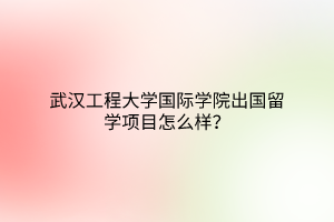 武汉工程大学国际学院出国留学项目怎么样？