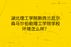 湖北理工学院新西兰尼尔森马尔伯勒理工学院学校环境怎么样？