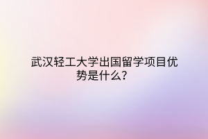 武汉轻工大学出国留学项目优势是什么？