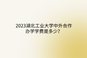 2023湖北工业大学中外合作办学学费是多少？