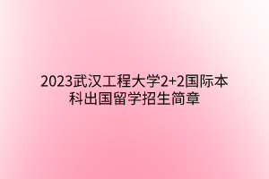 2023武汉工程大学2+2国际本科出国留学招生简章