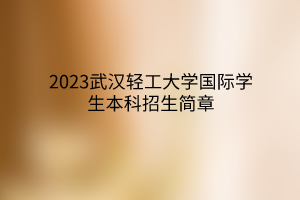 2023武汉轻工大学国际学生本科招生简章