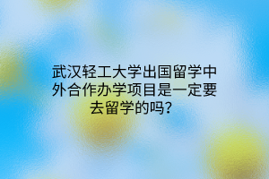 武汉轻工大学出国留学中外合作办学项目是一定要去留学的吗？