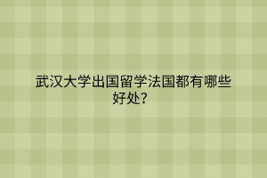 武汉大学出国留学法国都有哪些好处？