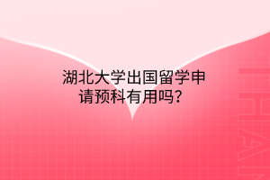 湖北大学出国留学申请预科有用吗？