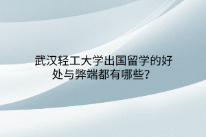 武汉轻工大学出国留学的好处与弊端都有哪些？