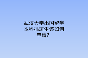 武汉大学出国留学本科插班生该如何申请？