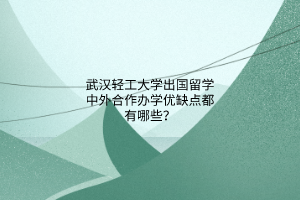 武汉轻工大学出国留学中外合作办学优缺点都有哪些？