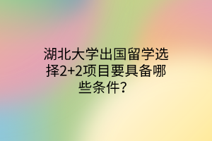 湖北大学出国留学选择2+2项目要具备哪些条件？