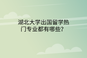 湖北大学出国留学热门专业都有哪些？