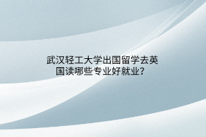 武汉轻工大学出国留学去英国读哪些专业好就业？