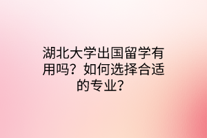 湖北大学出国留学有用吗？如何选择合适的专业？