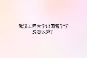 武汉工程大学出国留学学费怎么算？