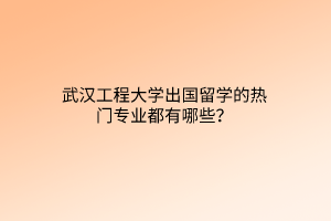 武汉工程大学出国留学的热门专业都有哪些？