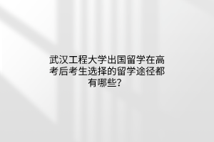 武汉工程大学出国留学在高考后考生选择的留学途径都有哪些？