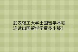 武汉轻工大学出国留学本硕连读出国留学学费多少钱？