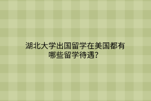 湖北大学出国留学在美国都有哪些留学待遇？