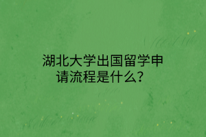 湖北大学出国留学申请流程是什么？