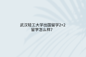 武汉轻工大学出国留学2+2留学怎么样？