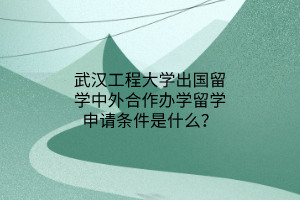 武汉工程大学出国留学中外合作办学留学申请条件是什么？