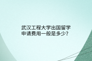 武汉工程大学出国留学申请费用一般是多少？