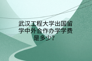 武汉工程大学出国留学中外合作办学学费是多少？