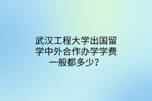 武汉工程大学出国留学中外合作办学学费一般都多少？