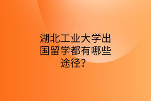 湖北工业大学出国留学都有哪些途径？