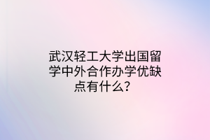 武汉轻工大学出国留学中外合作办学优缺点有什么？