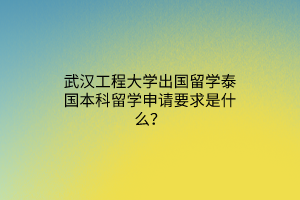 武汉工程大学出国留学泰国本科留学申请要求是什么？