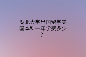 湖北大学出国留学美国本科一年学费多少？