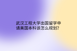 武汉工程大学出国留学申请美国本科该怎么规划？