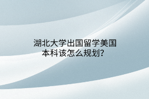 湖北大学出国留学美国本科该怎么规划？