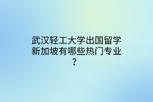 武汉轻工大学出国留学新加坡有哪些热门专业？