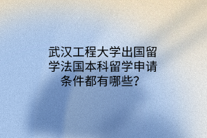 武汉工程大学出国留学法国本科留学申请条件都有哪些？