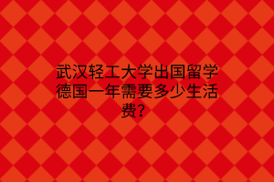 武汉轻工大学出国留学德国一年需要多少生活费？