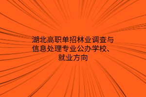 湖北高职单招林业调查与信息处理专业公办学校、就业方向