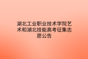 湖北工业职业技术学院艺术和湖北技能高考征集志愿公告