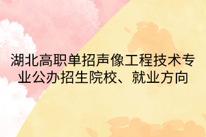 湖北高职单招声像工程技术专业公办招生院校、就业方向