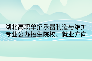 湖北高职单招乐器制造与维护专业