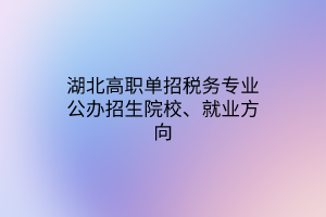 湖北高职单招税务专业公办招生院校、就业方向