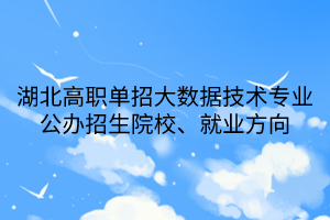 湖北高职单招大数据技术专业公办招生院校、就业方向